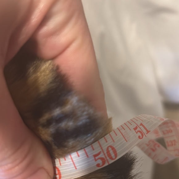 NWT Belted Leopard Faux Fur Full Length Coat! - Picture 12 of 12